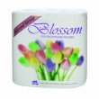 ABC Blossom Deluxe 000111 Toilet Rolls 250 Sheet Carton of 48
