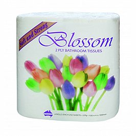 ABC Blossom Deluxe 000111 Toilet Rolls 250 Sheet Carton of 48