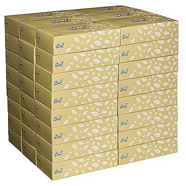 Scott 4725 Facial Tissues 2ply Carton (48 boxes)