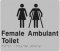 Best Buy FFAT-Silver Female Toilet and Female Ambulant Braille Sign
